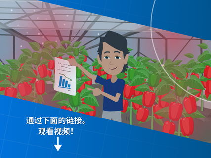 使用可移动幕帘，作物产量提升25%！