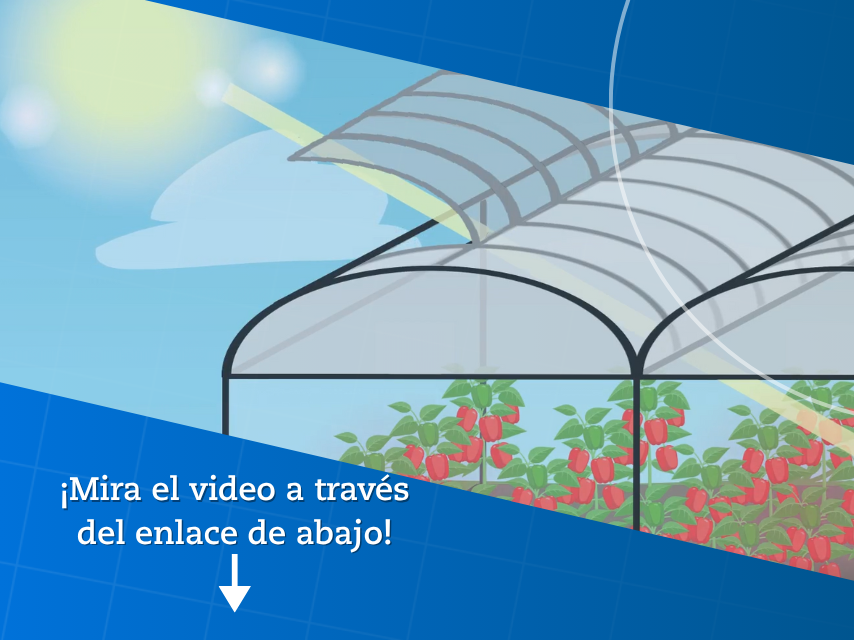 Desafíos de encalado