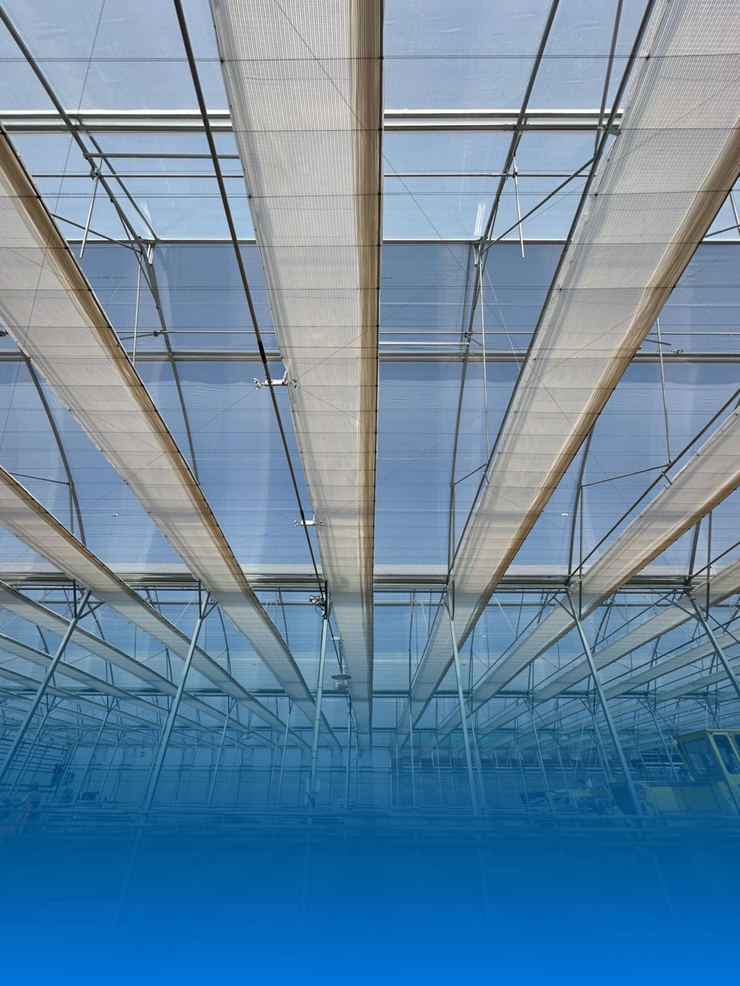 Afbeelding VP+ 1200x1600